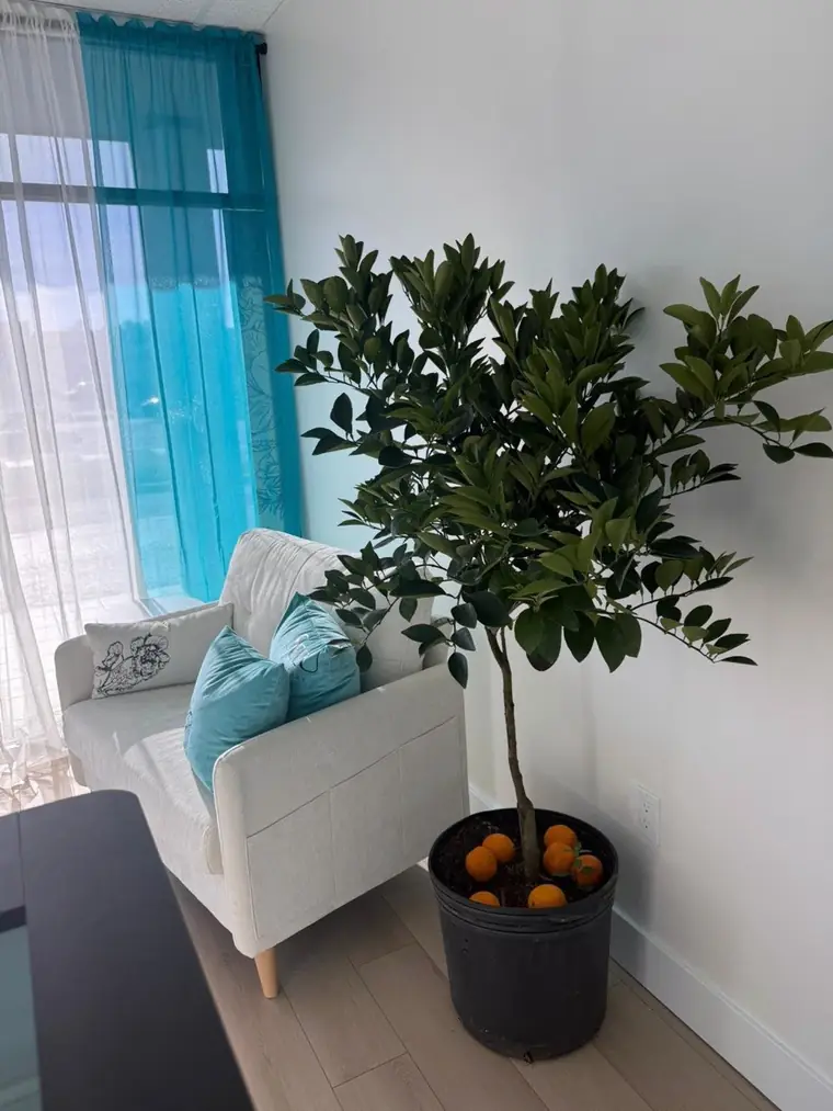 SeeU lounge